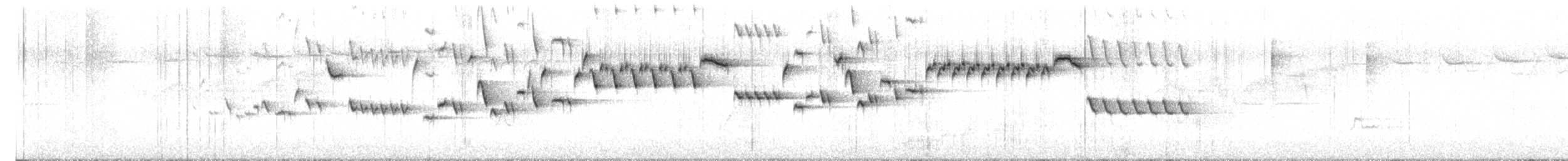 フユミソサザイ - ML637335884