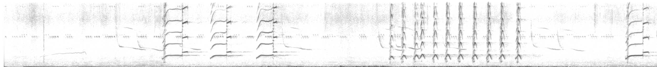 Long-billed Curlew - ML637336500