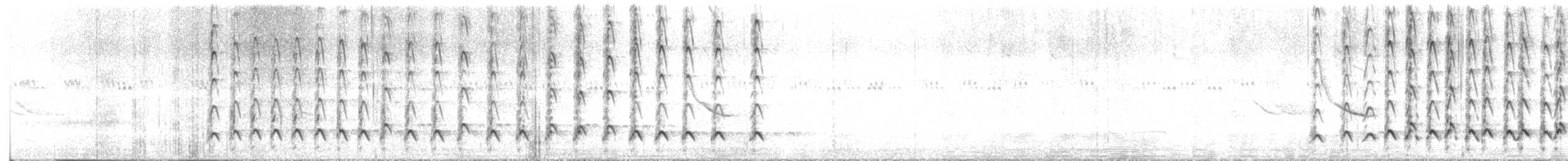 Long-billed Curlew - ML637336501