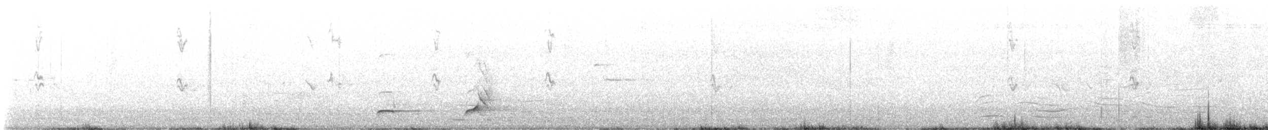 Northern Bobwhite - ML637337511