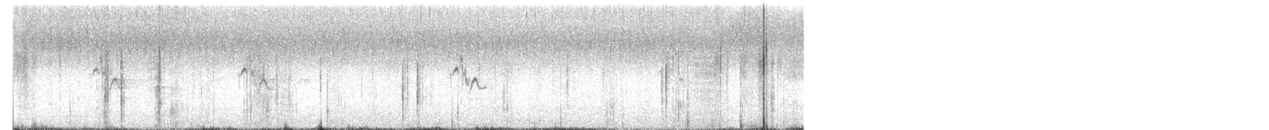 Berthelot's Pipit - ML637337774