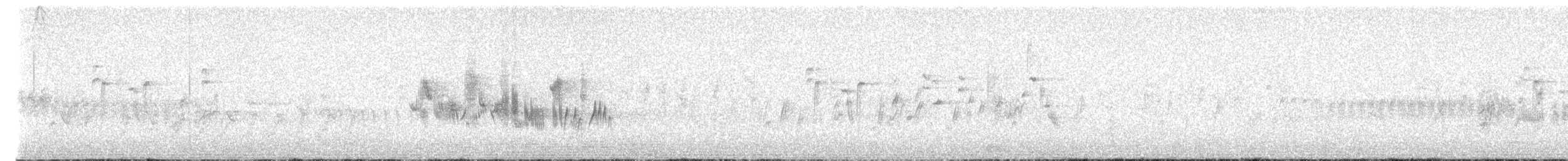 Traquet noir et blanc - ML637338149