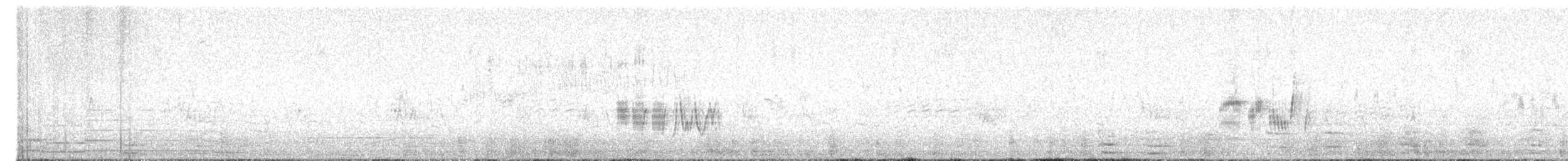 Traquet noir et blanc - ML637338151