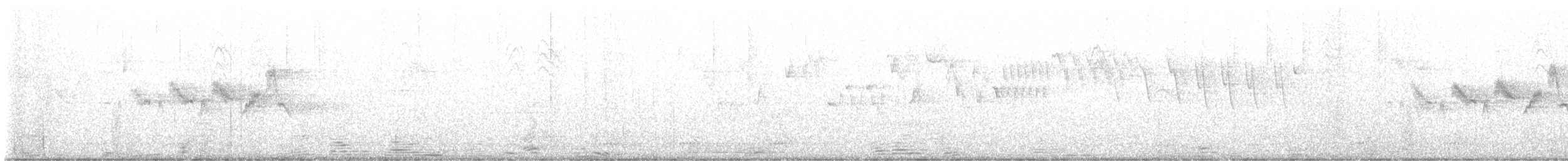 Black-throated Gray Warbler - ML637338527