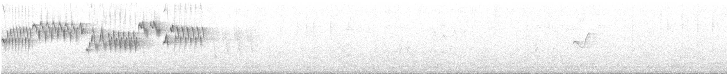 Pacific Wren - ML637338680