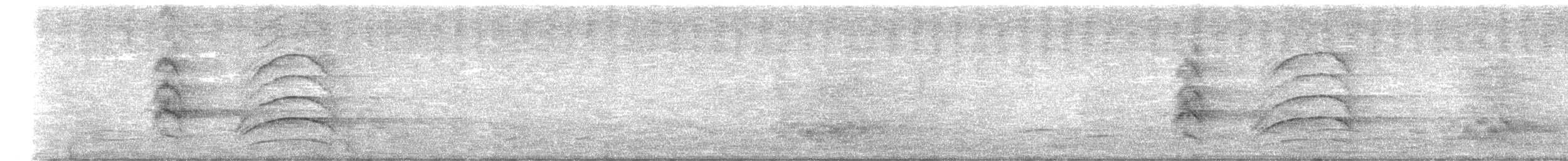 Great Kiskadee - ML637338870