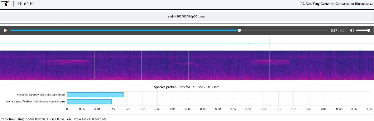 Chipping Sparrow - ML637339690