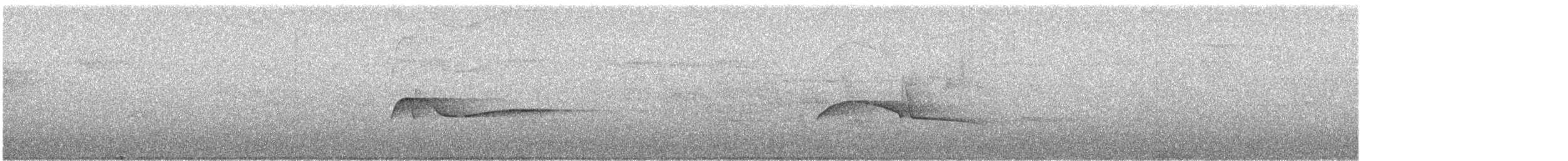 Eastern Wood-Pewee - ML637341303