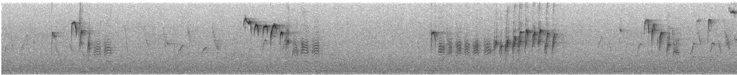 Carolina Chickadee - ML637341674