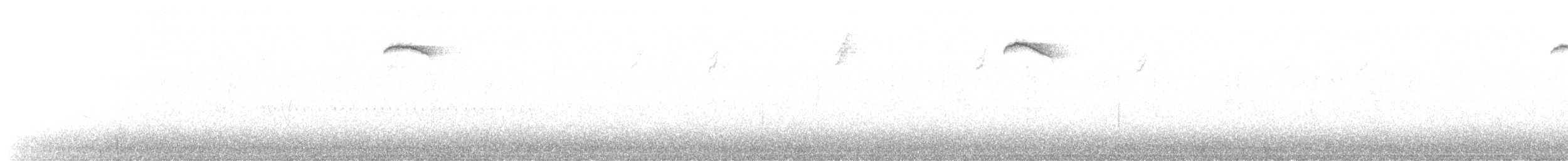 American Robin - ML637342309