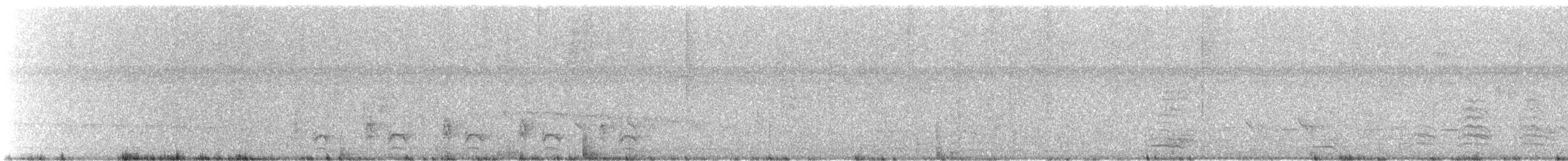 Rio Branco Antbird - ML637343993