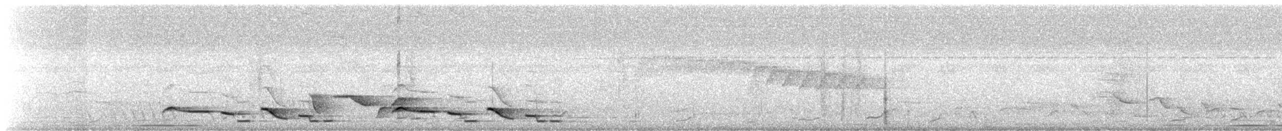 Black-bellied Wren - ML637344006