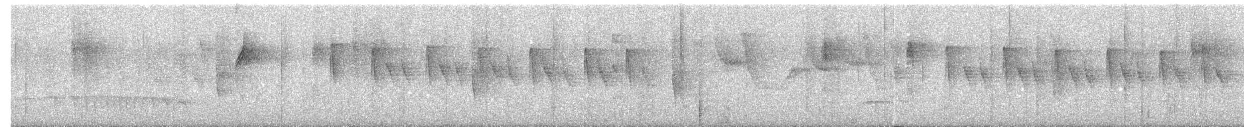 Streak-capped Antwren - ML637344717
