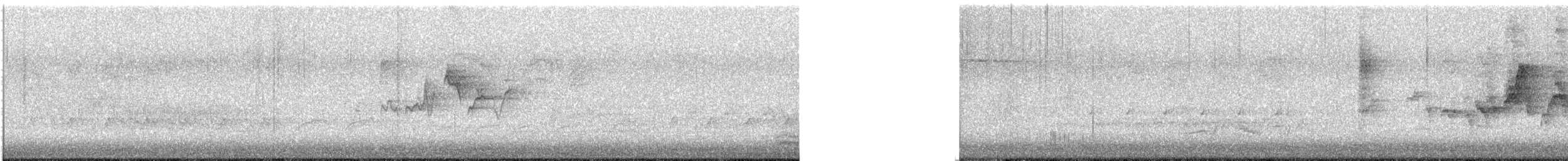 Paruline à tête cendrée - ML637345450