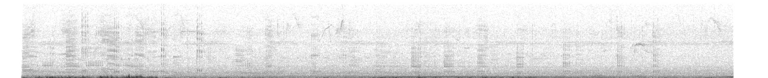 Neotropic Cormorant - ML637346814