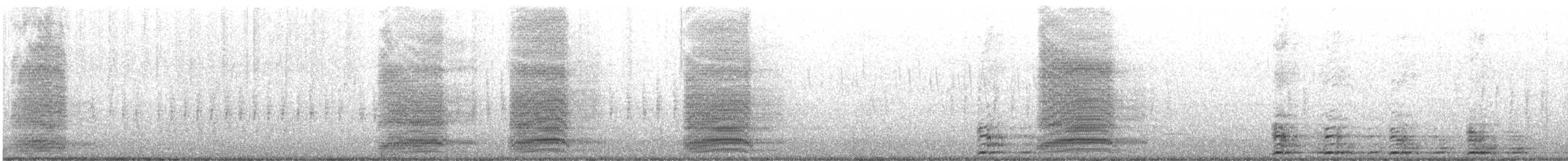 Common Raven - ML637347403