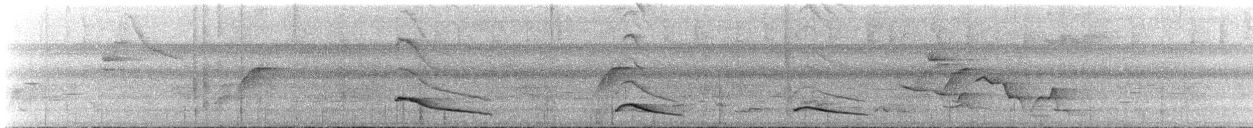 Spotted Woodcreeper - ML637348213