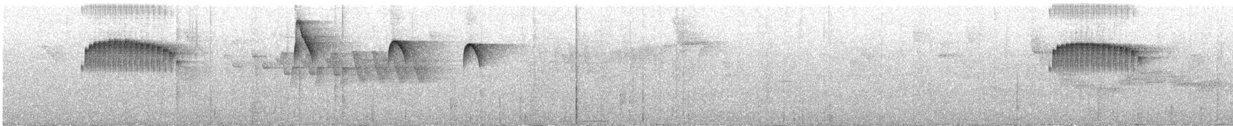 Spotted Barbtail - ML637348404