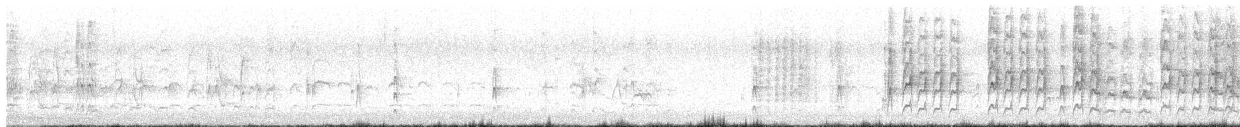 Schmalschnabel-Königstyrann - ML637349317