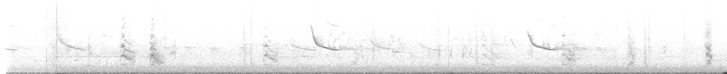 Forster's Tern - ML637349393