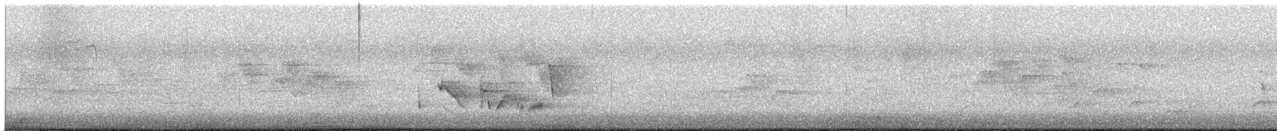 Viréo aux yeux blancs - ML637349513