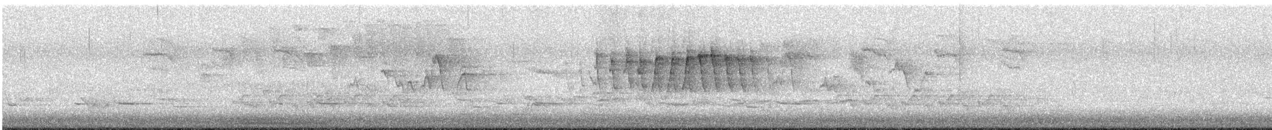 Paruline à calotte noire - ML637349610