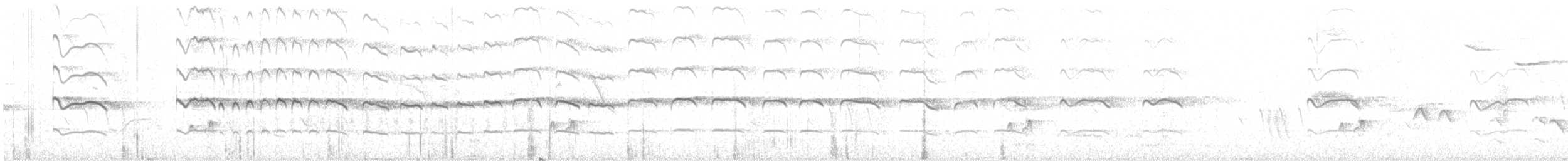 Ash-throated Flycatcher - ML637349905