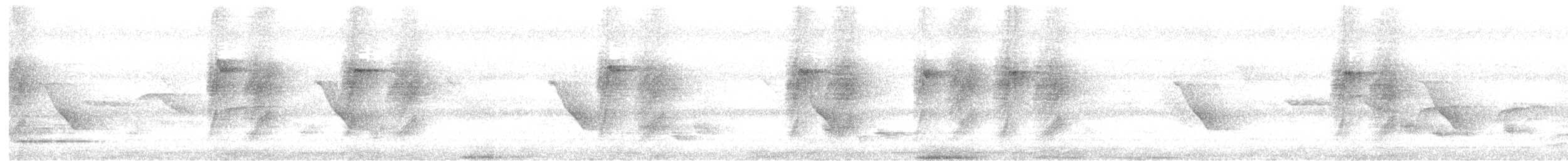 Black-naped Monarch - ML637350245