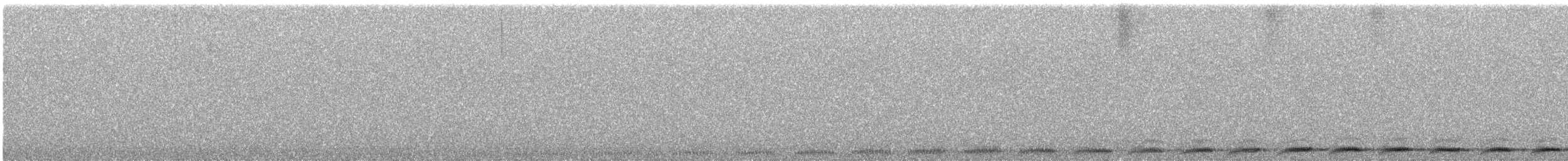 Tasmanian Boobook - ML637350425