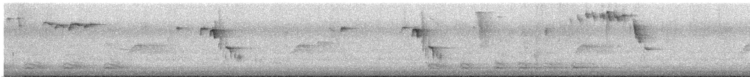 passereau sp. - ML637350881