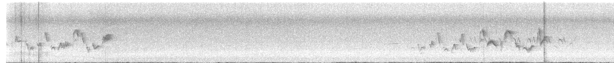 Western Warbling Vireo - ML637351195