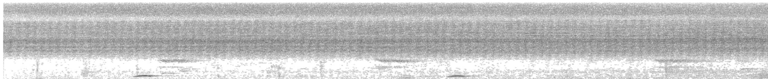 Whooping Motmot - ML637353618