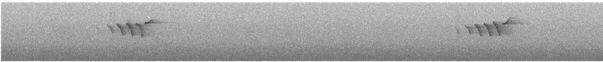 American Redstart - ML637353802