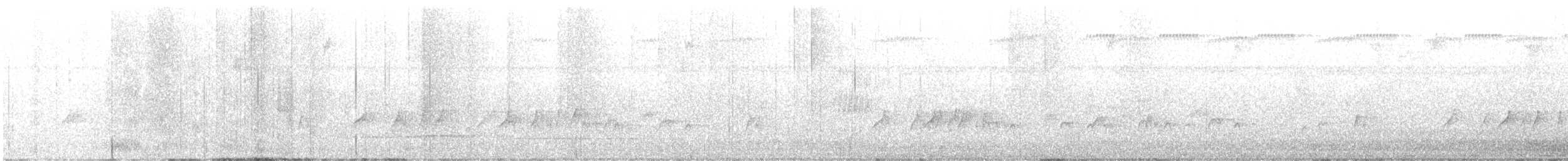 Rußkappen-Kleintyrann - ML637354680