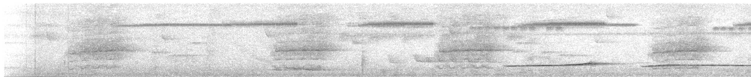 Рябая пуховка - ML637355063