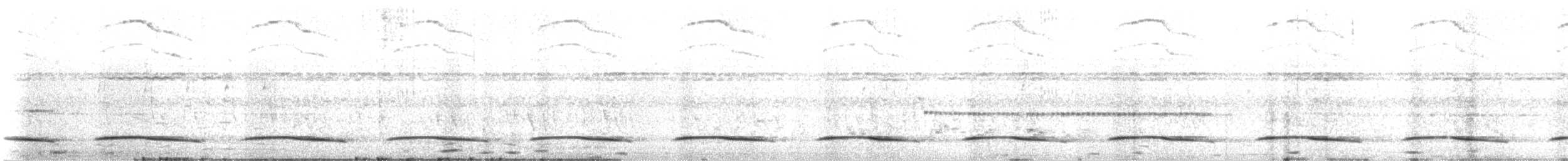 Barred Long-tailed Cuckoo - ML637357314