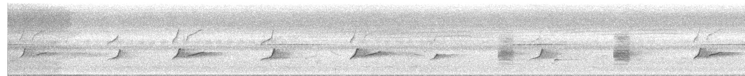 hårdrongo - ML637357915