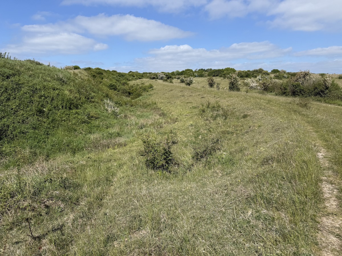 null - ML637358692