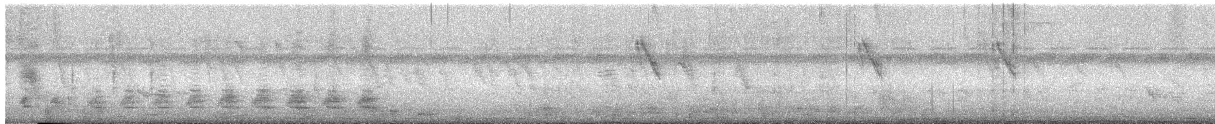 Little Bittern - ML637359627