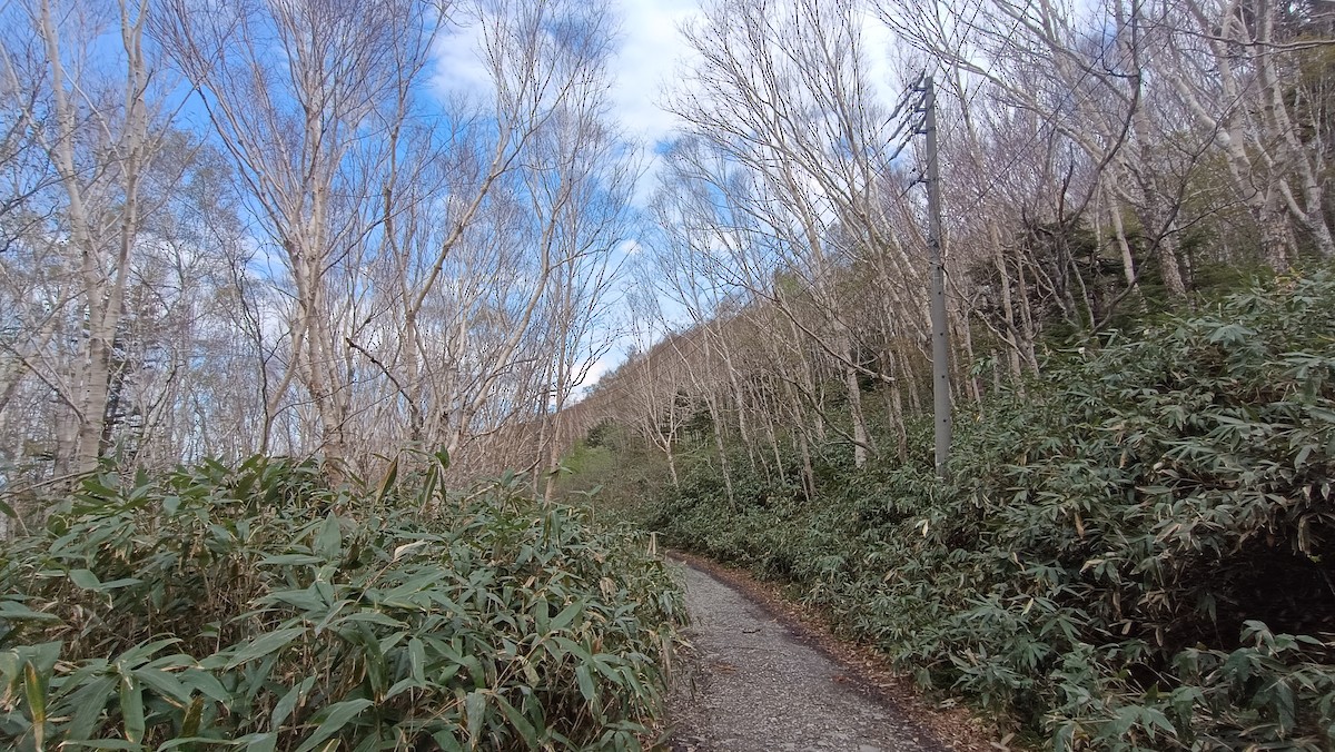 null - ML637359993