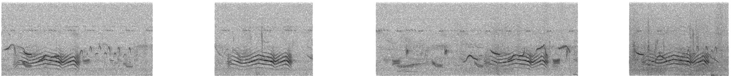 Cape Starling - ML637362377