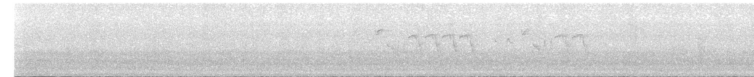 Eurasian Wren - ML637362584