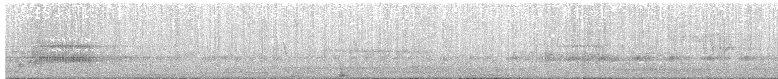 אנפית גמדית אמריקנית - ML637364089
