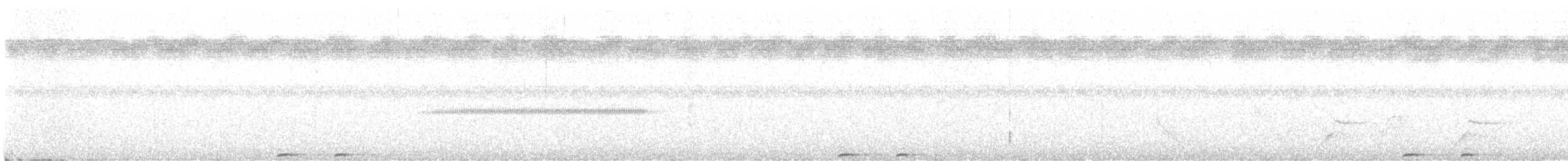 diademmotmot - ML637366020