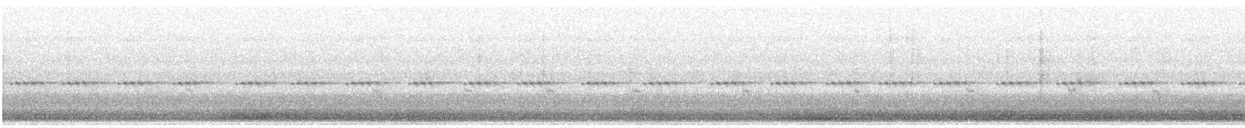 Semipalmated Sandpiper - ML637368049
