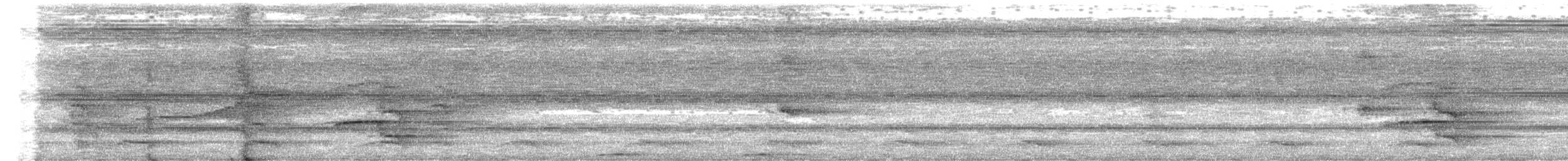 Tropical Royal Flycatcher - ML637368513