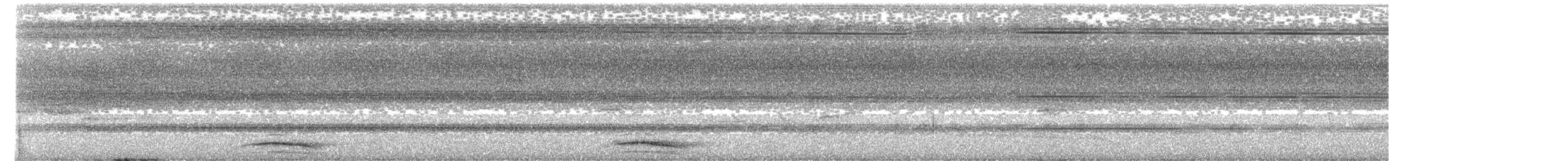 Collared Forest-Falcon - ML637368526