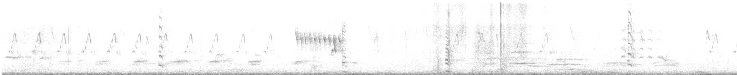 Talève à tête grise - ML637370187