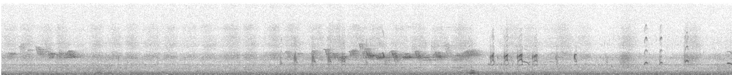 Osprey - ML637370535