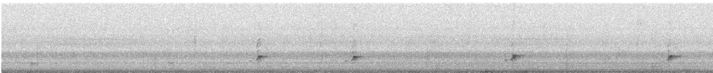 Ash-throated Flycatcher - ML637370616